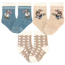 Load image into Gallery viewer, Garden Friends Baby Sock Set