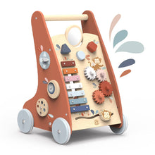 Load image into Gallery viewer, Multi-activity Walker