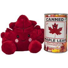 Load image into Gallery viewer, Lou the Canned Maple Leaf | Fall Stuffed Plush w/Jokes