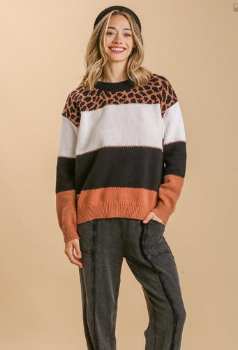 Animal Print Pullover Sweater