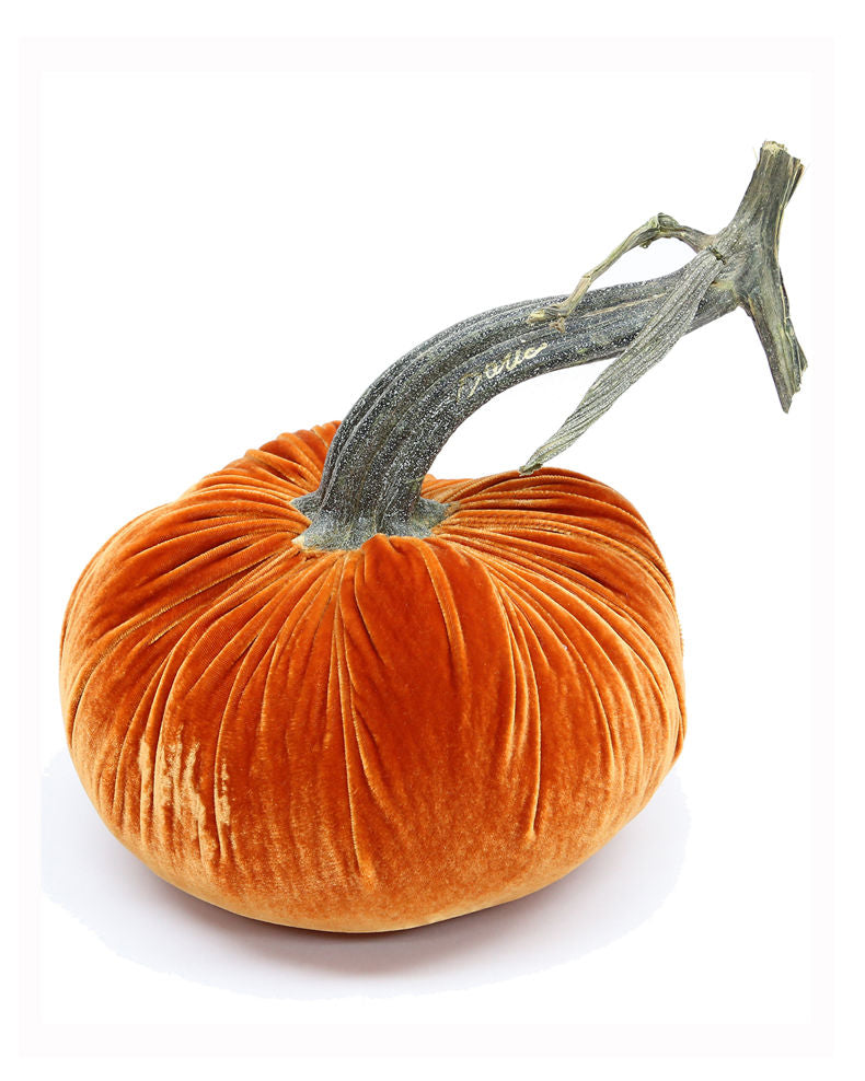 Velvet Pumpkin with Natural Stem